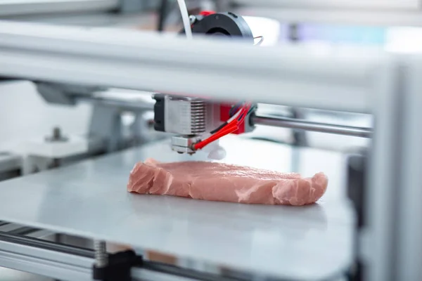 Primer plano de la impresora 3D haciendo pedazo de carne — Foto de Stock