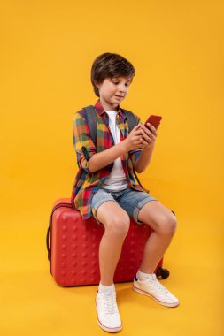 Cheerful boy sitting on his luggage clipart