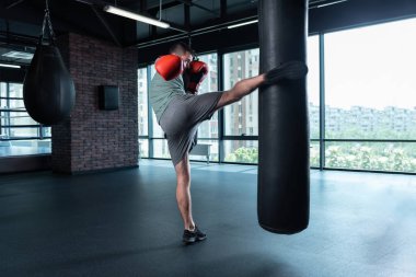Şehir manzaralı modern spor salonu çalışan profesyonel boksör