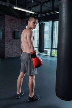 Boksör atletik vücut ayakta yakınındaki büyük pencere ile