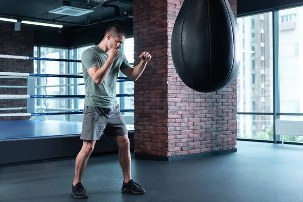 Handsome boxer wearing sport suit and sneakers