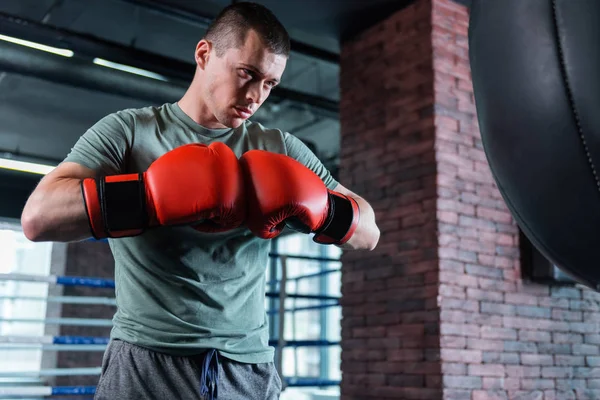 Serious dark-eyed boxer working out near punching bag — Stock Photo, Image