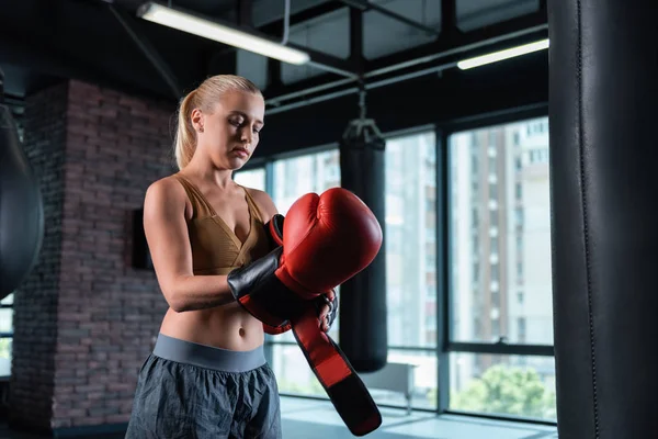 Famosa boxeadora femenina que se pone guantes de boxeo masivos — Foto de Stock