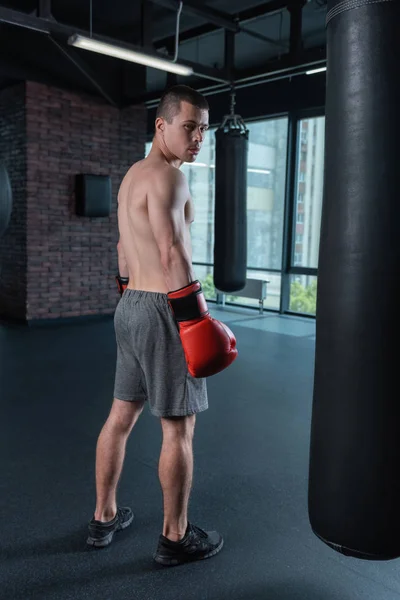 Boxer met atletisch lichaam staande in de buurt van groot venster — Stockfoto