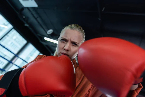 情绪化的女人 蓝眼睛金发女拳击手有情绪 而拳击活跃在健身房 — 图库照片