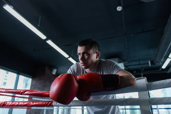 Boxer de olhos escuros usando grandes luvas de boxe vermelho — Fotografia de Stock