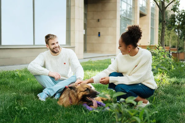 Linda pareja vistiendo suéteres blancos jugando con el perro —  Fotos de Stock