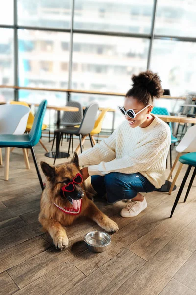 Onu köpek besleme parlak güneş gözlüğü takıyor kıvırcık şık kadın — Stok fotoğraf