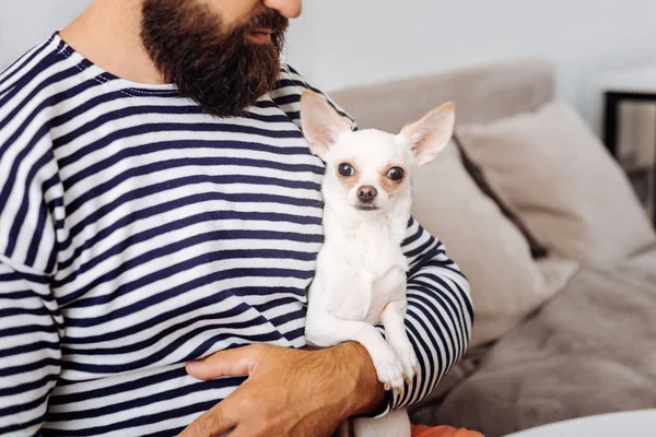 Esmer adam onun küçük beyaz köpek tutarak sakallı — Stok fotoğraf