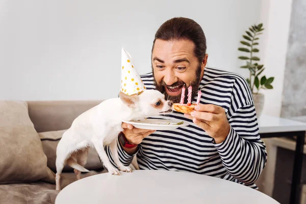 Ciemnych oczach człowieka uczucie szczęśliwy urodziny obchodzi jego pies — Zdjęcie stockowe