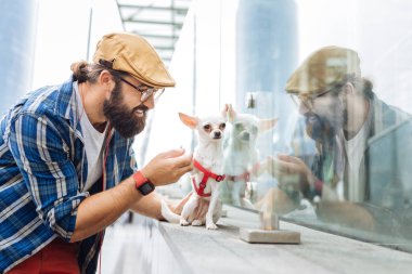 Gülümseyen adam iş merkezi pencere küçük köpeği yerleştirme