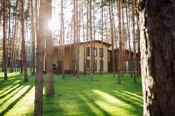 Primer plano de la casa de pie en el bosque — Foto de Stock