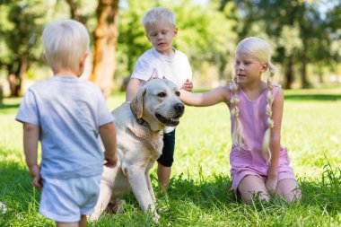 Parkta büyük bir köpekle oynayan güzel çocuklar