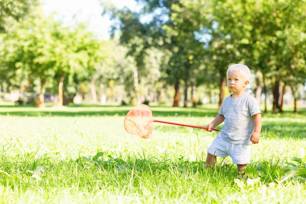 Dulce niño tratando de atrapar mariposas en el jardín —  Fotos de Stock