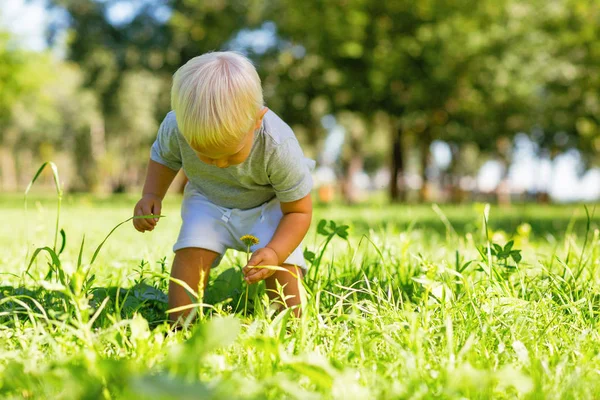 Schattig jongetje spelen in de tuin — Stockfoto