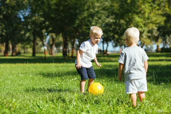 Cute brothers playing with a ball together in the garden — Stock Photo, Image