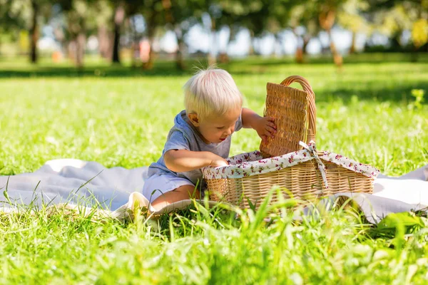 Pequeño chico lindo tratando de encontrar dulces en la cesta — Foto de Stock