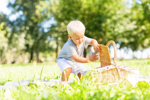 Édes kis gyerek feltárása a kosarat a park — Stock Fotó