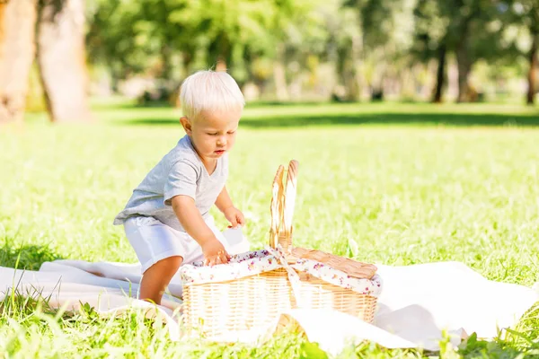 Piquenique Verão Pequena Criança Bonita Passar Dia Parque Enquanto Faz — Fotografia de Stock