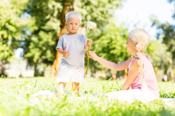 Édes kis ember bemutatja egy virág, hogy a húga — Stock Fotó