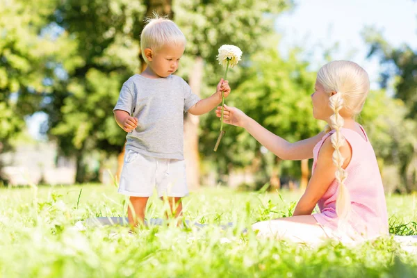 Nice girl getting a flower from a little brother — Stock Photo, Image