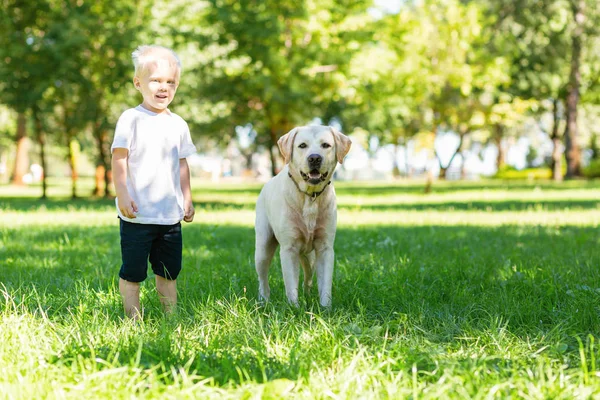 Rapaz bonito brincando no parque com um cão — Fotografia de Stock