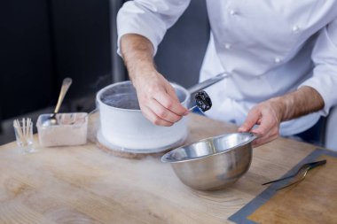 Mükemmel yemek pişirildikten moleküler gastronomi