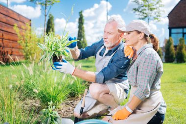 Olgun adam ve gülümseyen çekici karısı yeni yeşil bitki arıyorum sakallı