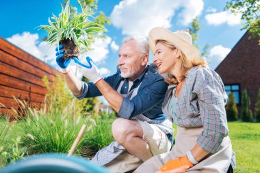Mutlu sevgi dolu çift duygu bakarak onların yeni yeşil ev bitki contended