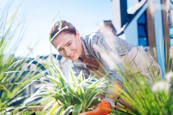 Aantrekkelijk rijpe vrouw met mooie hanger transplanteren van bloemen — Stockfoto