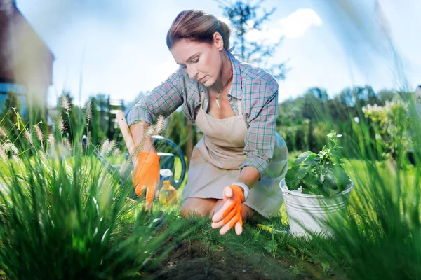 Приваблива зріла жінка в помаранчевих рукавичках тягне бур'яни в саду — стокове фото