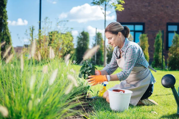 Vrouw het dragen van jeans en sneakers planten van bloemen buiten het huis — Stockfoto