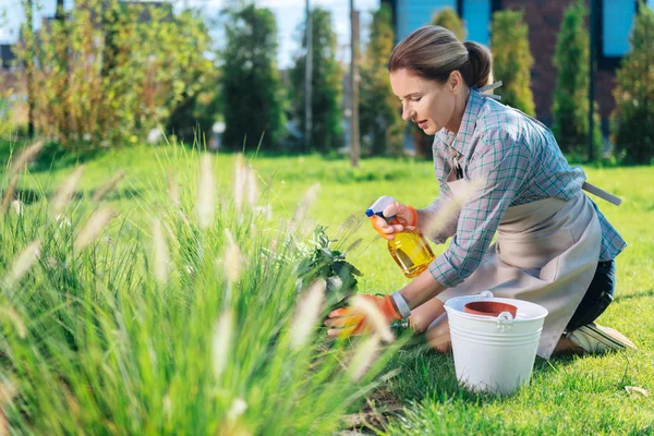 Wanita yang peduli memercikkan air di daun tanaman rumah favoritnya — Stok Foto