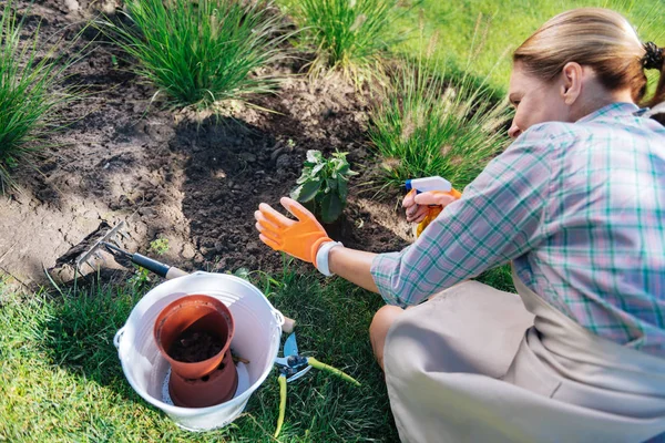 Mulher de família realizando atividades de horticultura em seu fim de semana livre — Fotografia de Stock