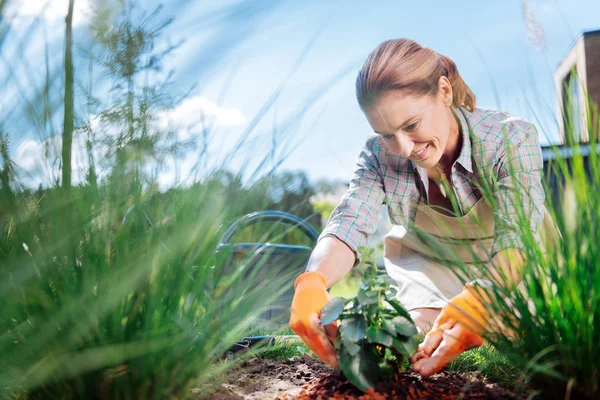 Great lover of hortikultura feeling amazing while planting flowers — Stok Foto