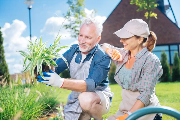 Volwassen man met gestreepte schort helpen van zijn vrouw in de buurt van tuin bed met baard — Stockfoto