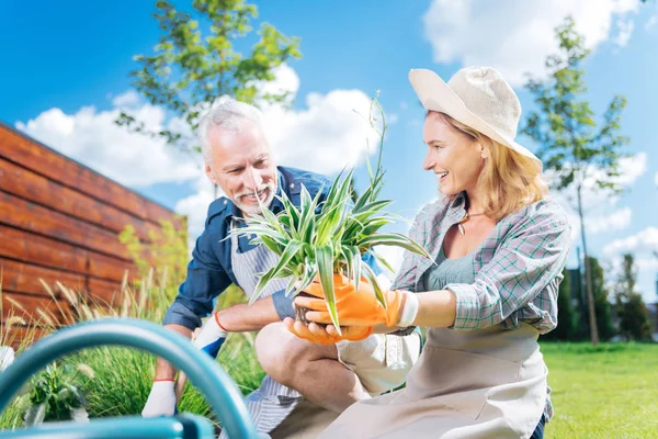 Rubia-peludo esposa usando beige sombrero celebración agradable verde planta sentado escuchar marido — Foto de Stock