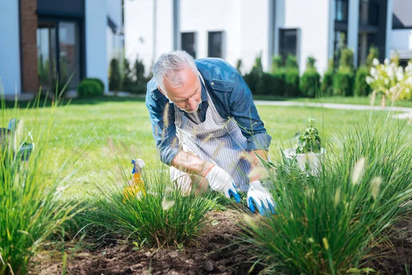 Bearded man wearing white gloves using little hoe while grubbing the weeds up — Stock Photo, Image