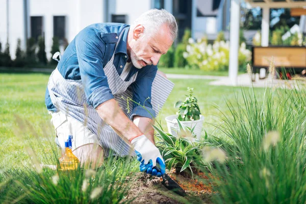 Bearded mature man holding little hoe in his hands while grubbing the weeds up — Stock Photo, Image