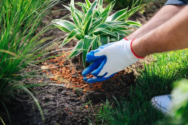 Seorang pria memakai sepatu putih datang ke kebun sambil memperkaya tanah — Stok Foto