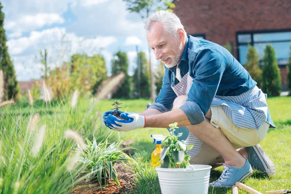 Mature grey-haired man feeling excited while planting flower for the first time — Stock Photo, Image