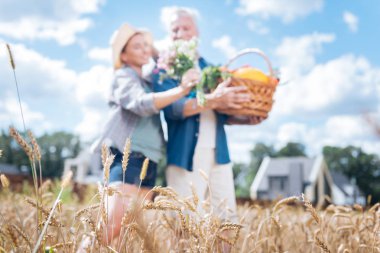 Işınlama sevgi dolu çift ayakta buğday alan ortasında yaz gününde