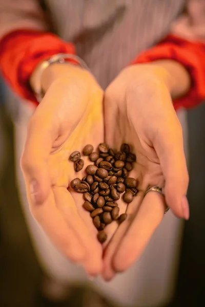 Professional barista showing her clean hands with seeds — Stock Photo, Image