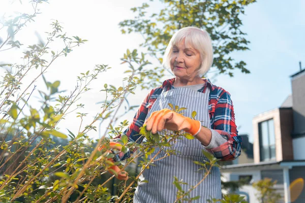 Milá pěkná stará žena pracující v zahradě — Stock fotografie