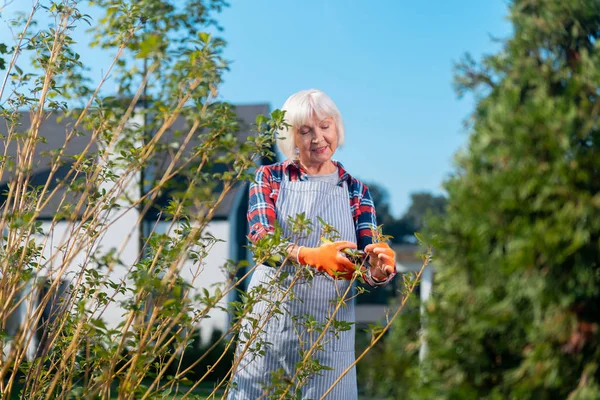 Αρκετά ευχάριστη γυναίκα που εργάζεται στον κήπο — Φωτογραφία Αρχείου