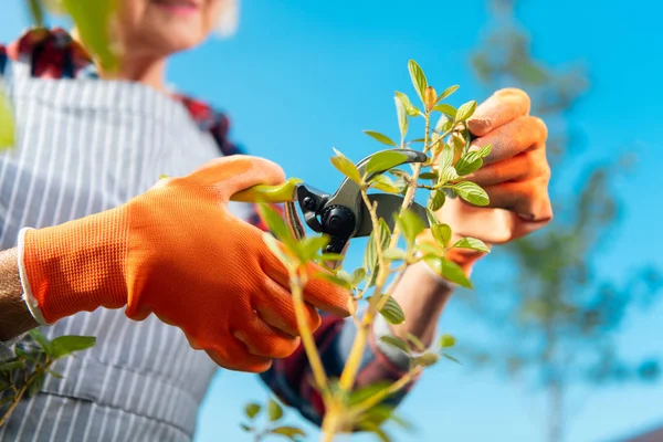 Gemotiveerde aangename dame een dag doorbrengen in de tuin — Stockfoto