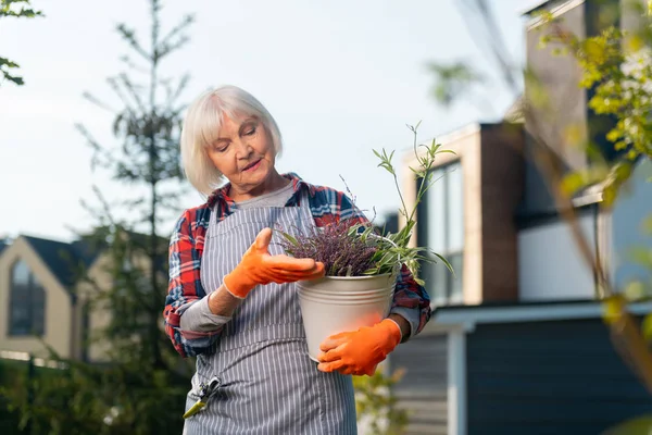 Вдохновлённая милая женщина, держащая в руках растение — стоковое фото