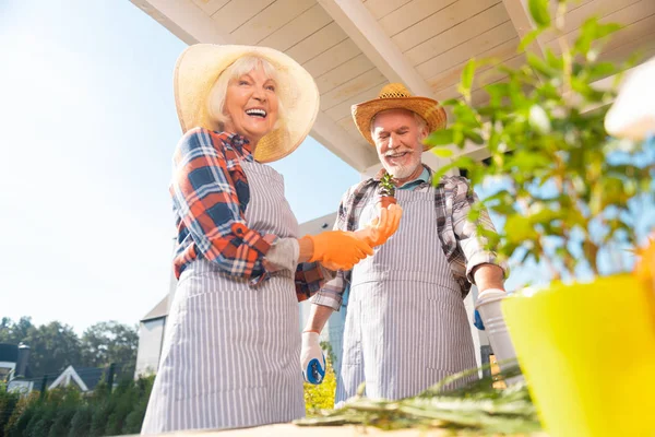 Marido y esposa jubilados que usan delantales a rayas mientras hacen jardinería — Foto de Stock