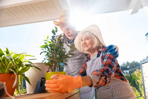 Красивая пожилая жена чувствует себя счастливой, заботясь о растениях с мужем — стоковое фото