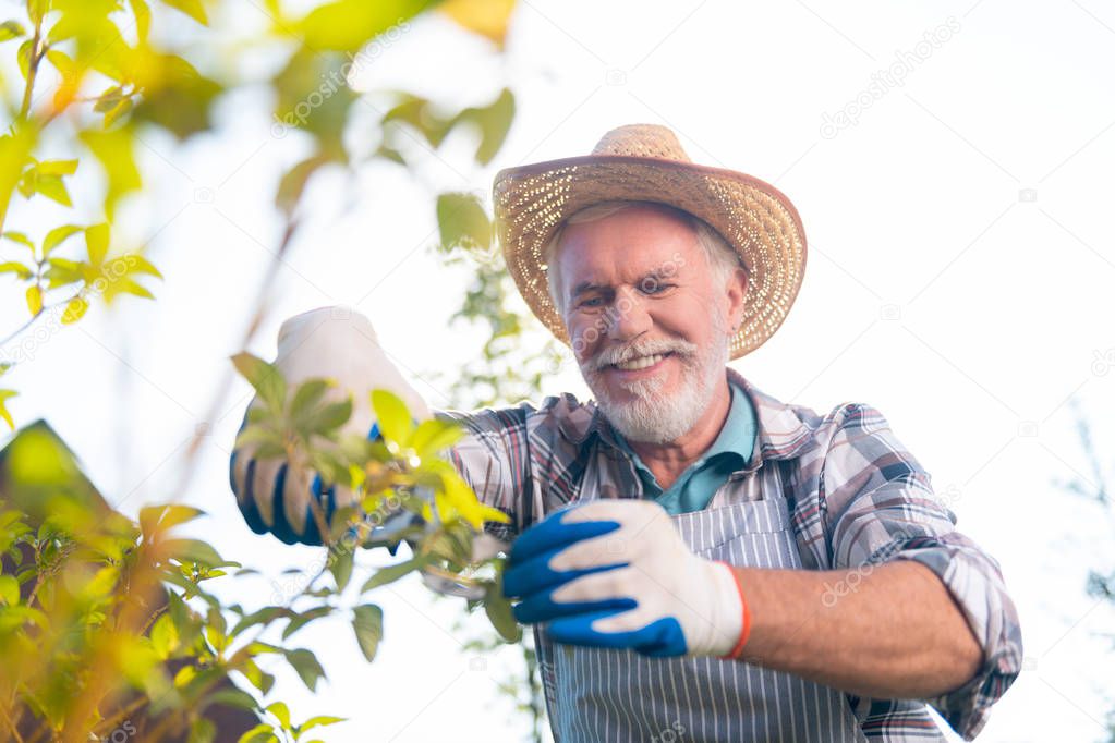 Happy nice retired man working in the garden